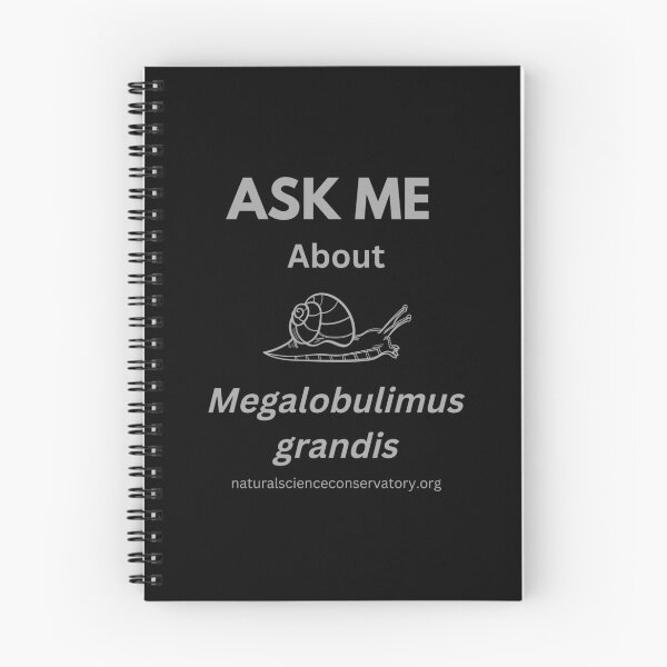 Item preview, Ask Me About Megalobulimus grandis Brazilian Land Snail  designed and sold by Discovered.