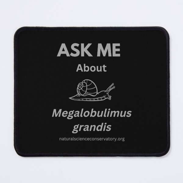 Item preview, Ask Me About Megalobulimus grandis Brazilian Land Snail  designed and sold by Discovered.