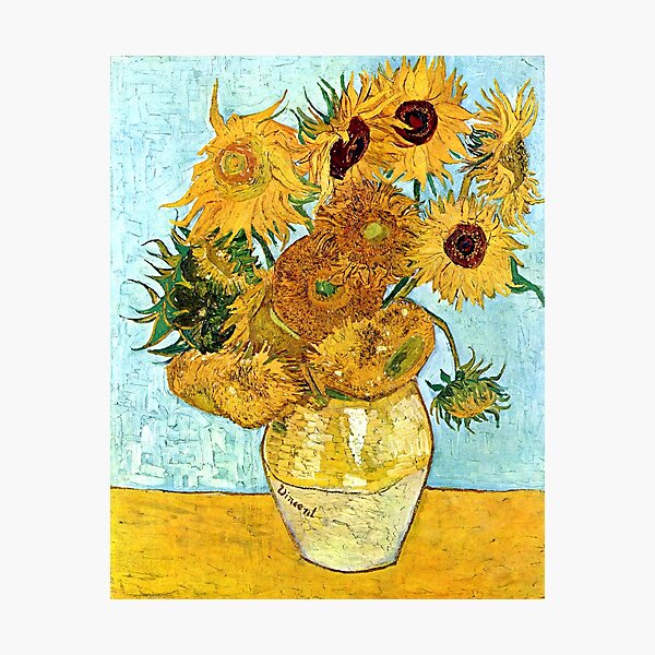 Sunflowers Photographic Print