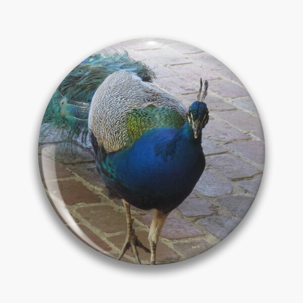 Item preview, Lovely peacock designed and sold by greentiger1.