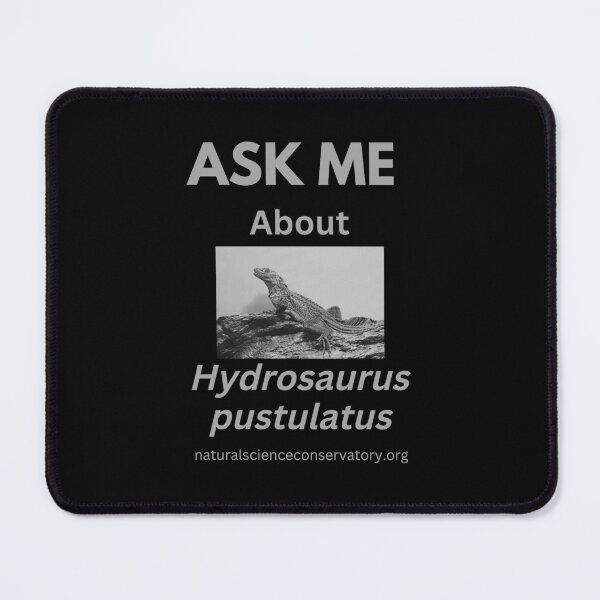 Item preview, Ask Me About Hydrosaurus pustulatus Philippine Sailfin Soa Soa Water Dragon Lizard designed and sold by Discovered.