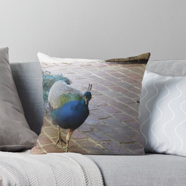 Item preview, Lovely peacock designed and sold by greentiger1.
