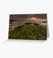 Slippery II Greeting Card