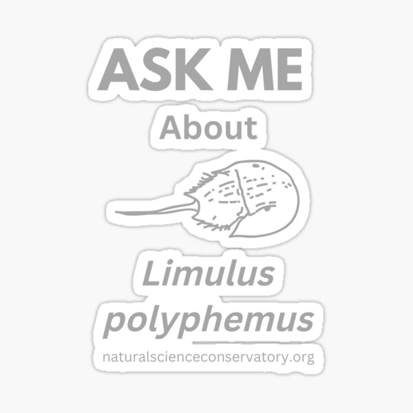 Item preview, Ask Me About Limulus polyphemus Horseshoe Crab designed and sold by Discovered.
