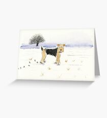 Lakeland Terrier Dog Greeting Card