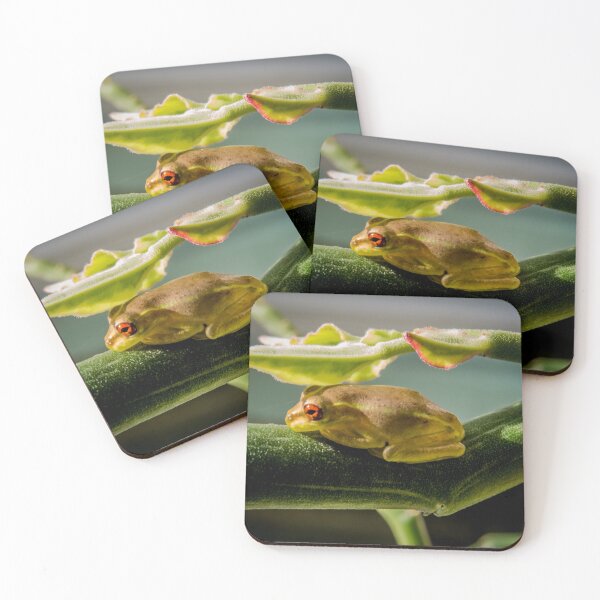 Item preview, Red-eyed Frog designed and sold by Zina Stromberg.