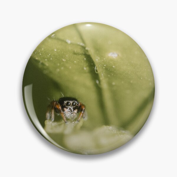 Item preview, Jumping spiderling (Phidippus species) designed and sold by LyfIsGrand.