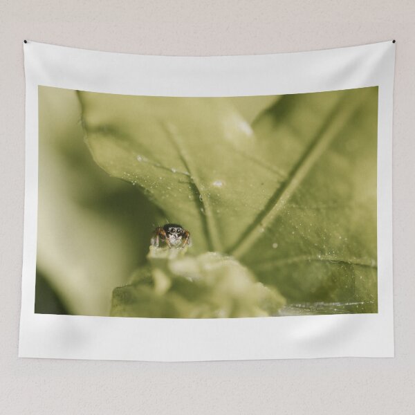Item preview, Jumping spiderling (Phidippus species) designed and sold by LyfIsGrand.