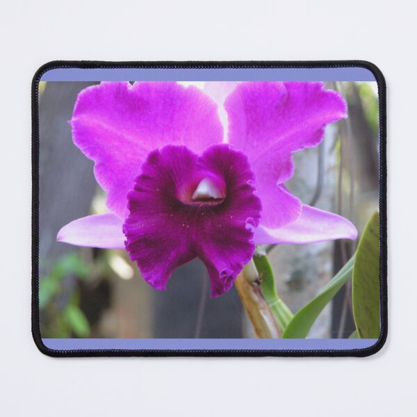 Item preview, Pink Orchid designed and sold by ginnymac.