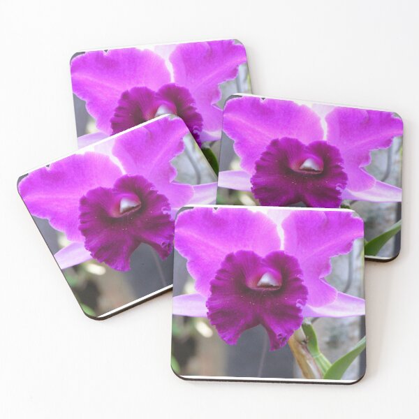 Item preview, Pink Orchid designed and sold by ginnymac.
