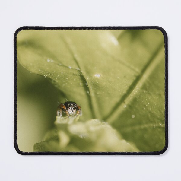Item preview, Jumping spiderling (Phidippus species) designed and sold by LyfIsGrand.
