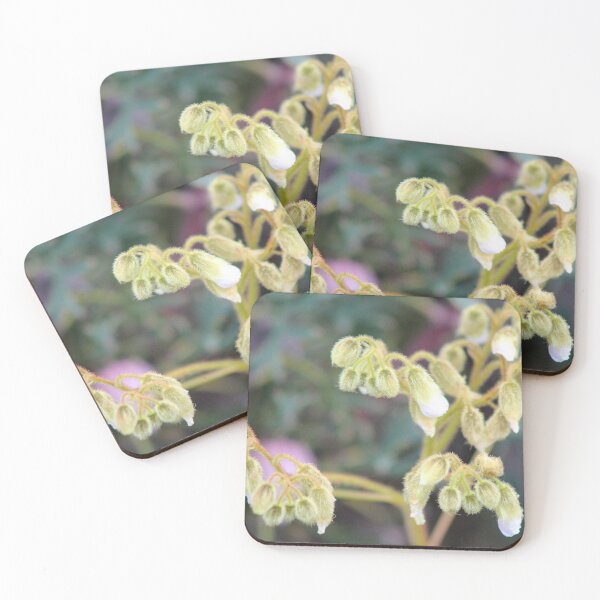 Item preview, Pretty Drooping Buds - Lesueur National Park, Western Australia designed and sold by Marilyn Harris.