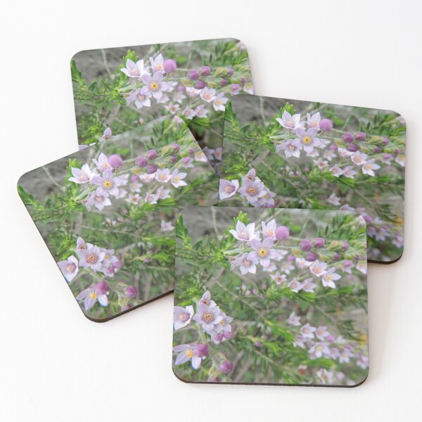 Item preview, Australian Native - Philotheca spicata (Pepper and Salt) designed and sold by Marilyn Harris.