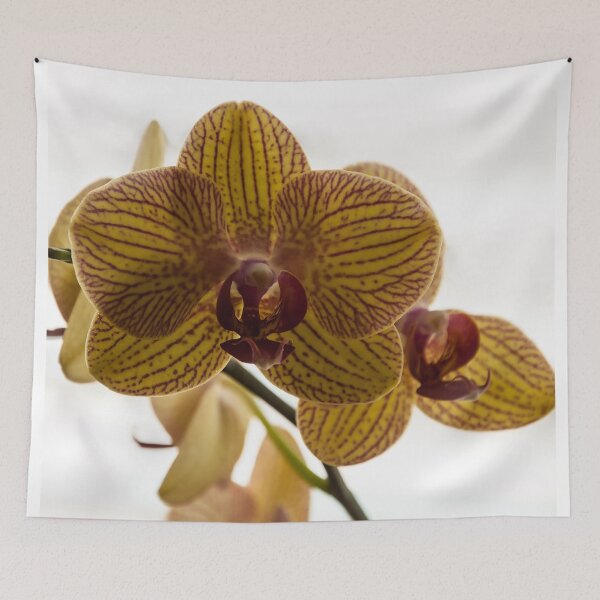 Item preview, Red Veined Orchid designed and sold by KirtTisdale.