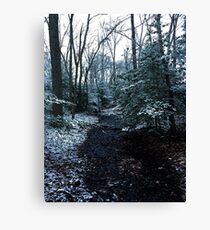 First Snow Canvas Print