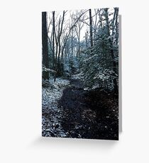 First Snow Greeting Card