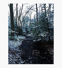 First Snow Photographic Print
