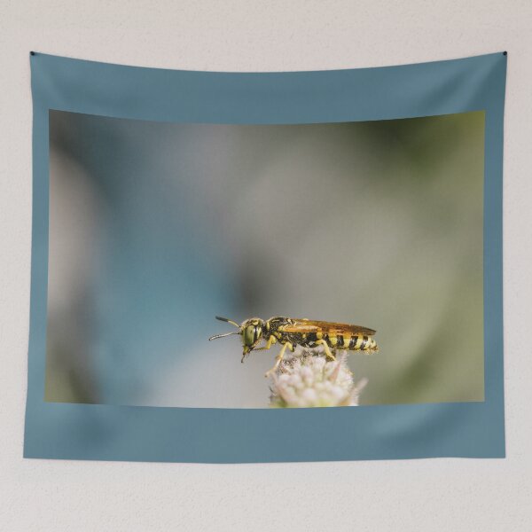 Item preview, Beewolf (Philanthus species) designed and sold by LyfIsGrand.