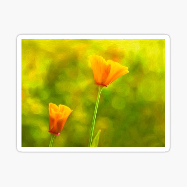 Item preview, California Poppies - Impressions designed and sold by Dorset Girl.