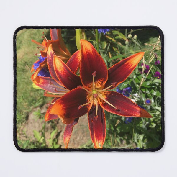 Item preview, Fire Lilly designed and sold by Amanda1775.