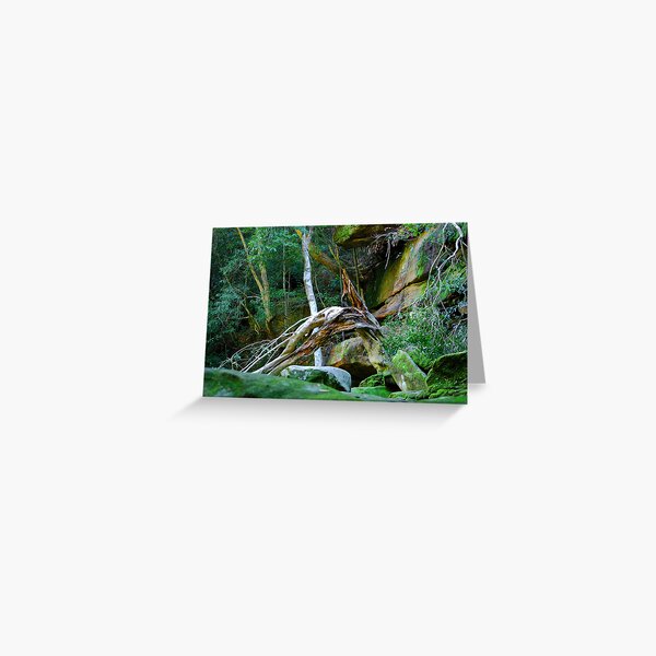 Item preview, Bowing to the Falls - Somersby Falls designed and sold by Bev Woodman.