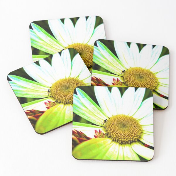 Item preview, Bug & Daisy designed and sold by Stellaura.