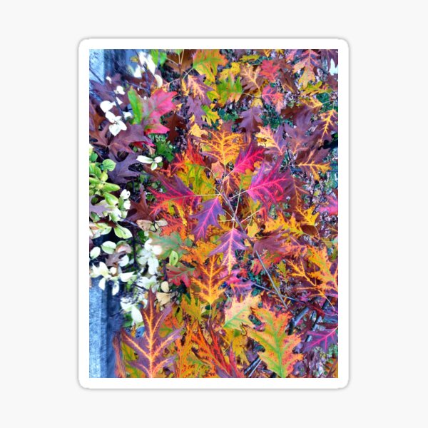 Item preview, Oregon Fall Time III designed and sold by kmcolorworks.
