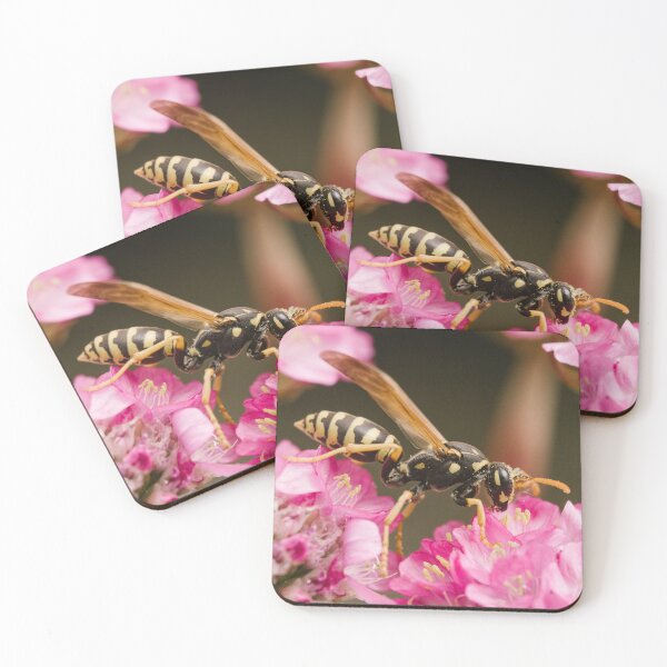 Item preview, Paper wasp (Polistes dominula) designed and sold by LyfIsGrand.