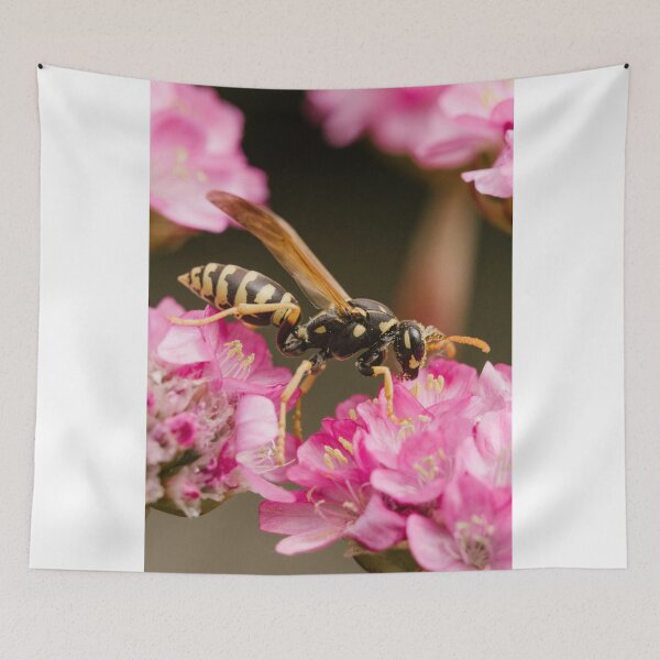 Item preview, Paper wasp (Polistes dominula) designed and sold by LyfIsGrand.