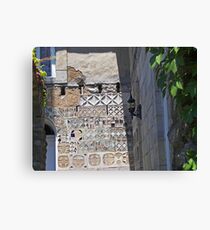 eloquent age Canvas Print