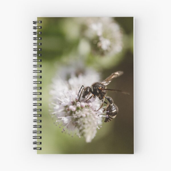 Item preview, Potter Wasp (Eumenes species) designed and sold by LyfIsGrand.