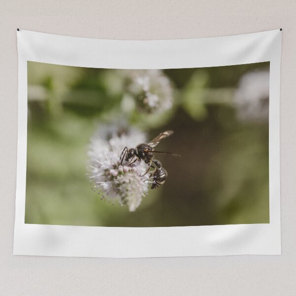 Item preview, Potter Wasp (Eumenes species) designed and sold by LyfIsGrand.