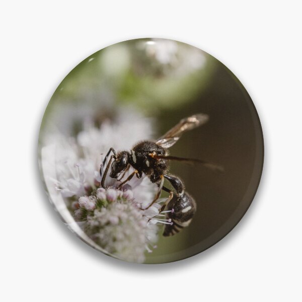 Item preview, Potter Wasp (Eumenes species) designed and sold by LyfIsGrand.