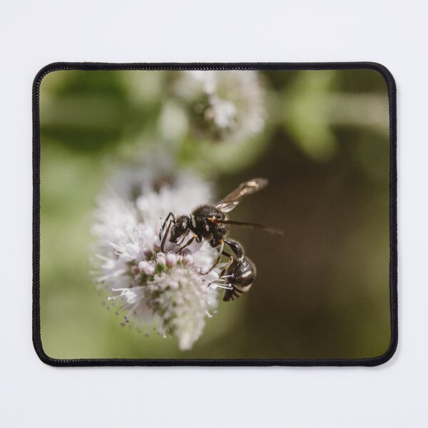 Item preview, Potter Wasp (Eumenes species) designed and sold by LyfIsGrand.