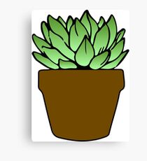 Succulent Canvas Print