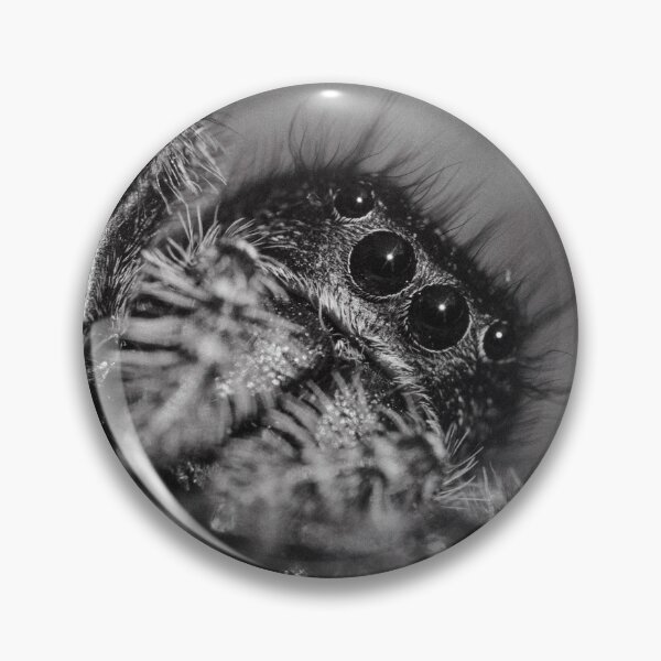 Item preview, Jumping Spider (Phidippus johnsonii) designed and sold by LyfIsGrand.