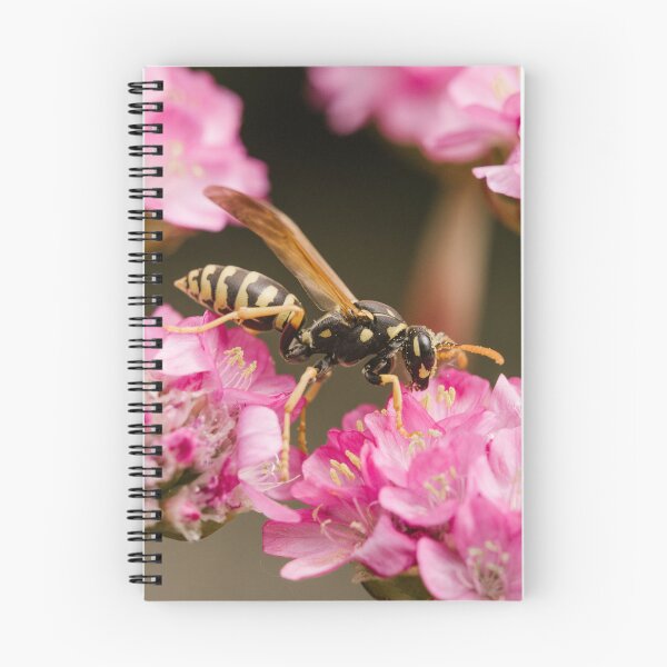 Item preview, Paper wasp (Polistes dominula) designed and sold by LyfIsGrand.