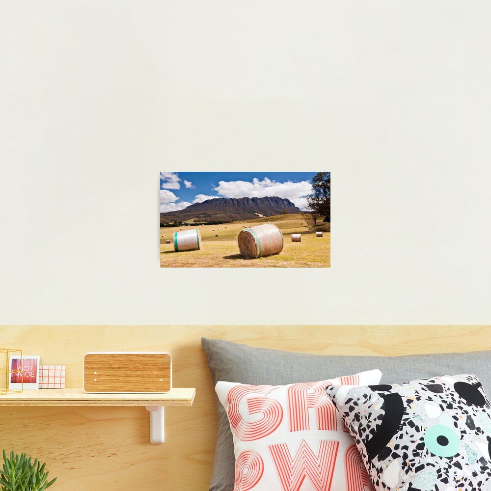 Summertime in Tasmania Photographic Print