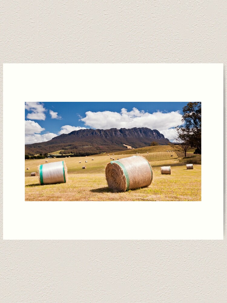 Alternate view of Summertime in Tasmania Art Print