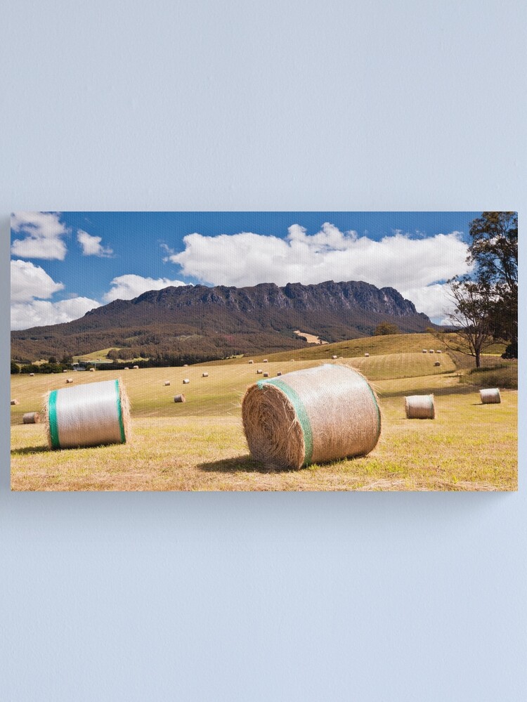 Alternate view of Summertime in Tasmania Canvas Print