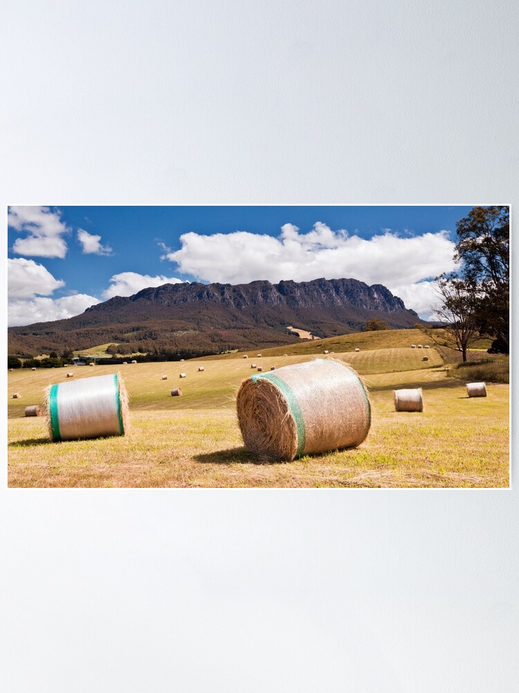 Alternate view of Summertime in Tasmania Poster