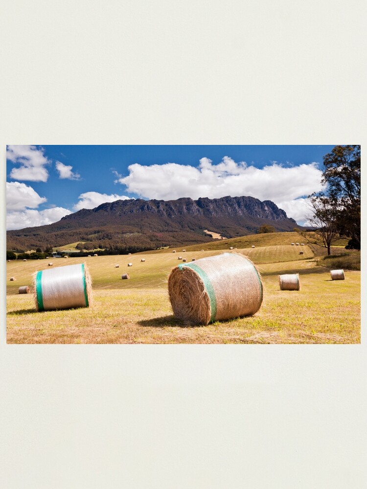 Alternate view of Summertime in Tasmania Photographic Print