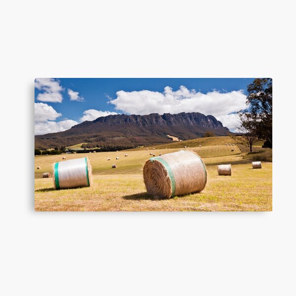 Summertime in Tasmania Canvas Print