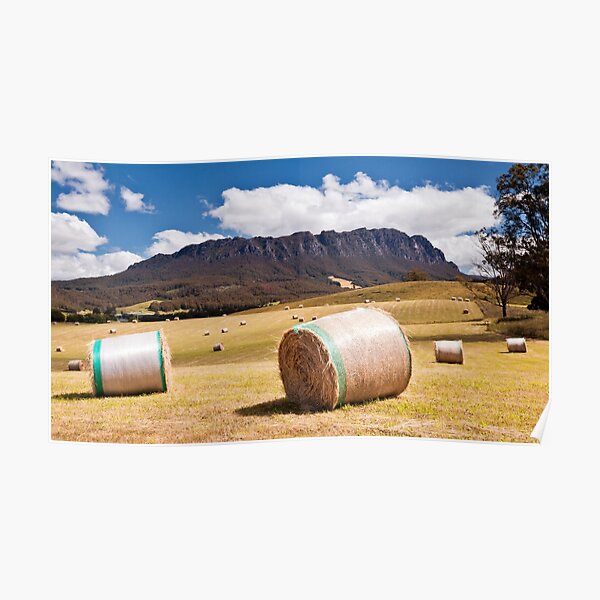Summertime in Tasmania Poster