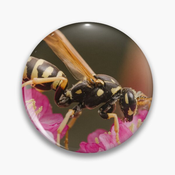 Item preview, Paper wasp (Polistes dominula) designed and sold by LyfIsGrand.