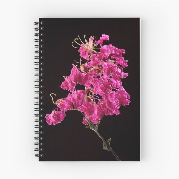 Aperçu de l'œuvre Myrte crêpe rose foncé créée et vendue par Floyd Hopper.