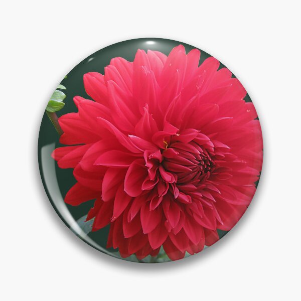 Artikelvorschau, Blumenbild entworfen und verkauft von Nature Nblossom.