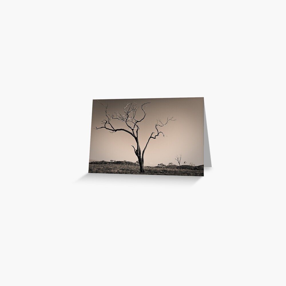 Item preview, Greeting Card designed and sold by wootton60.