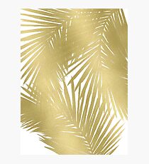 Gold Palms Photographic Print