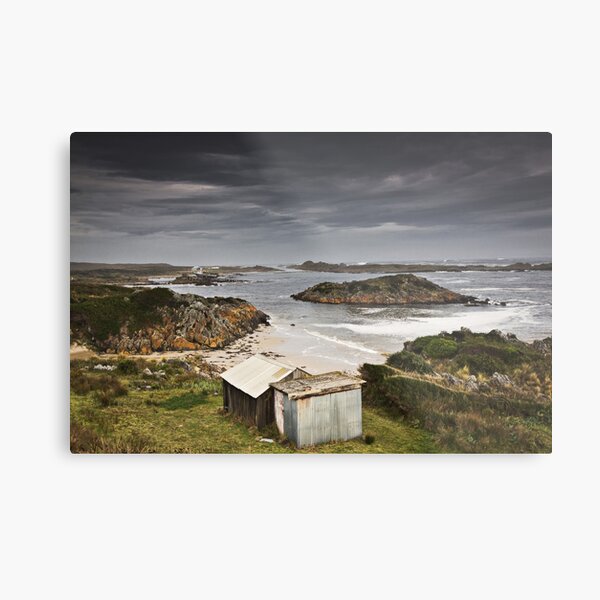 Metal Print